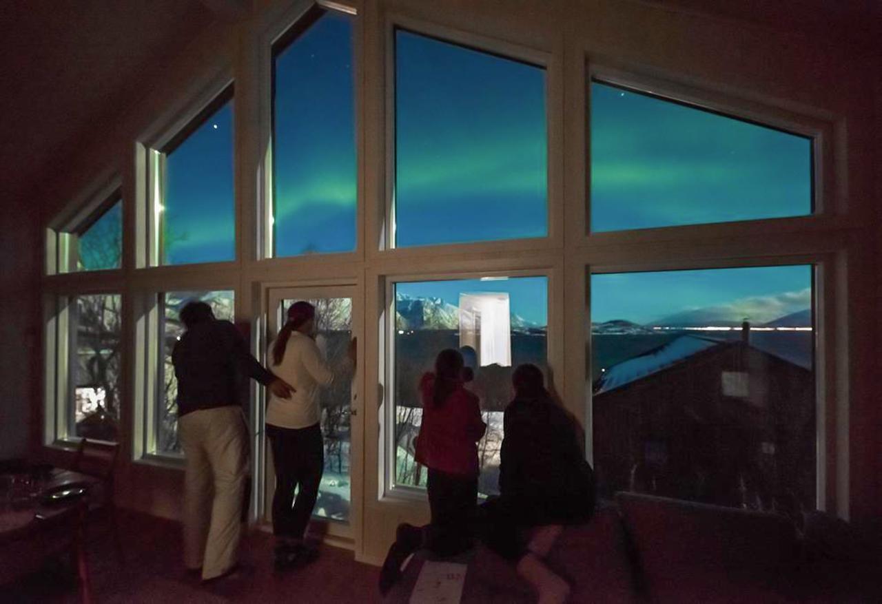 Aurora View Cabin Lyngseidet Bagian luar foto