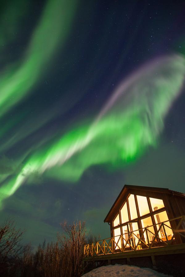 Aurora View Cabin Lyngseidet Bagian luar foto