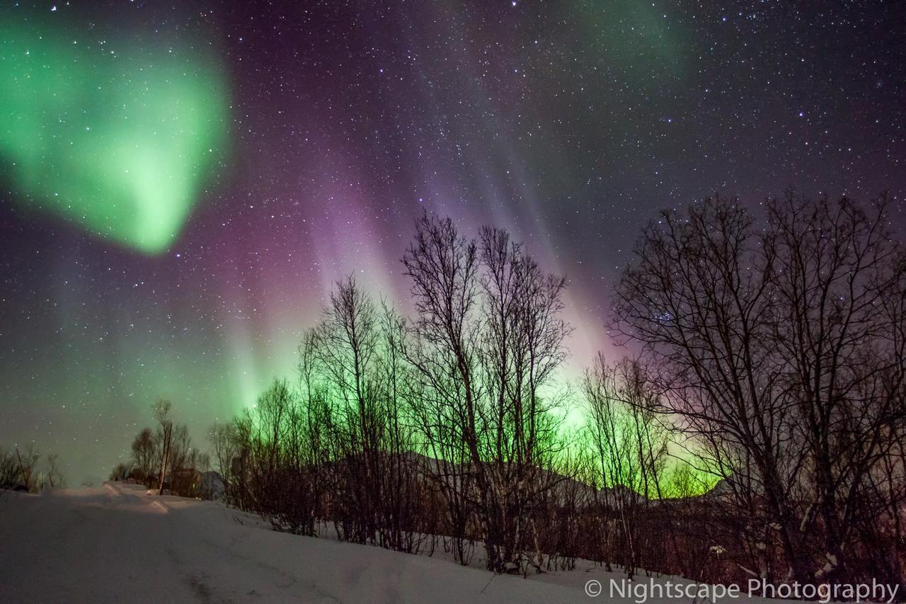 Aurora View Cabin Lyngseidet Bagian luar foto