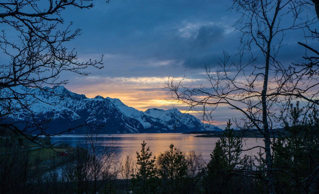 Aurora View Cabin Lyngseidet Bagian luar foto