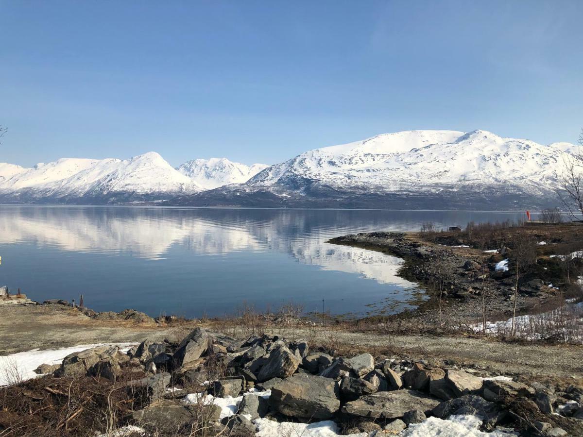 Aurora View Cabin Lyngseidet Bagian luar foto